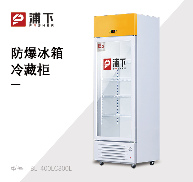 浦下防爆冰箱-单门冷藏柜300L